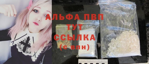 прущие грибы Армянск