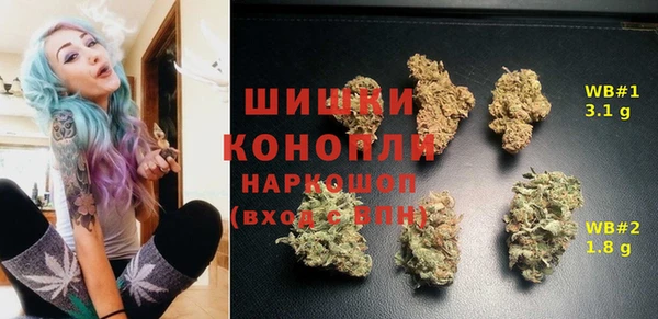 прущие грибы Армянск