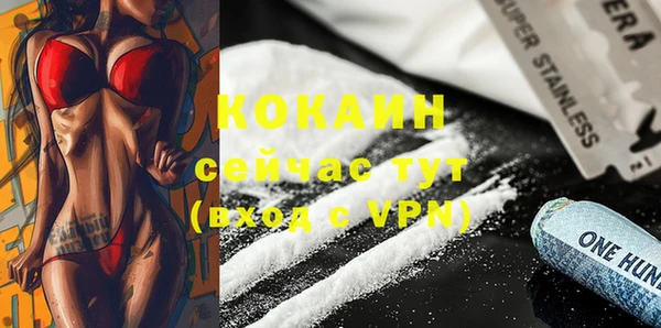 прущие грибы Армянск
