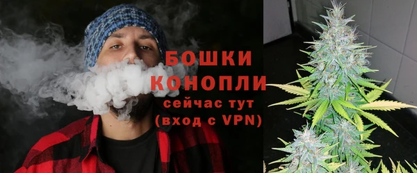 прущие грибы Армянск